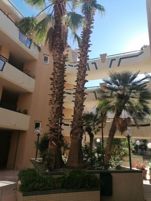 Appartement Vue Mer Sète Exterior foto